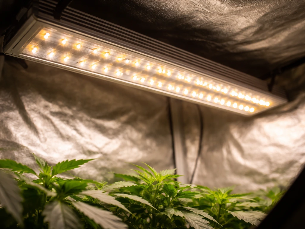 Best Samsung LED Grow Lights Review and Buying Guide